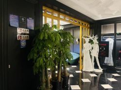 -鼎极摄影(世纪金源店)