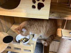 -Fun Job Art 零基础油画国画DIY画室(望京店)