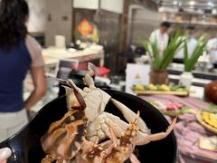 -亚特兰蒂斯-番红花海鲜自助餐厅·鲜活海鲜·小火锅
