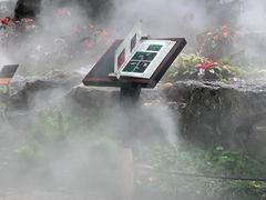 -东莞植物园