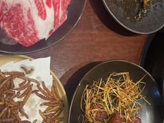 -滇野云南野生菌餐厅(陕西南路店)