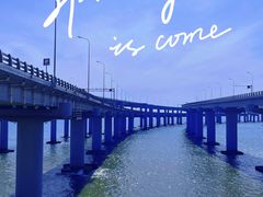 -星海湾跨海大桥