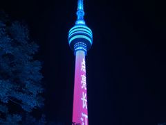-武汉两江游览·夜游长江(汉口粤汉码头)