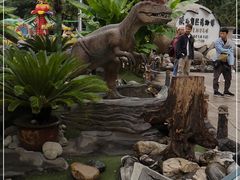 -陕西自然博物馆