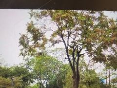 -长辛店二七公园