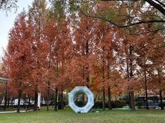 -唐城墙遗址公园