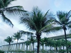 -中澳友谊花园