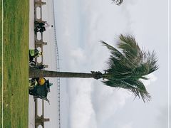 -港珠澳大桥(珠海段)