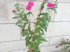 -北京大学第二体育馆