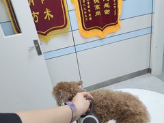 -中农国际动物医院24小时·猫科·骨科·急重症中心