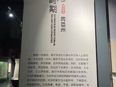 -巴音郭楞蒙古自治州博物馆