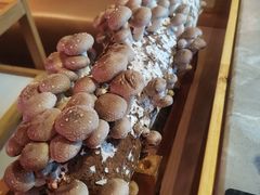 -大喜牛鲜牛肉火锅(营迹路店)
