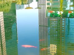 -陆家嘴中心绿地