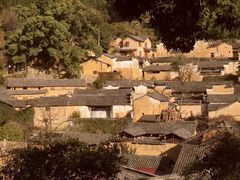 -杨家堂村