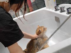 -FAELING PETS美天灵宠物(合生汇店)