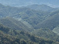 -西湖风景区十里琅珰-五云山