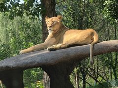 -北京野生动物园