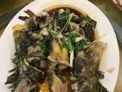 -鸿达渔港