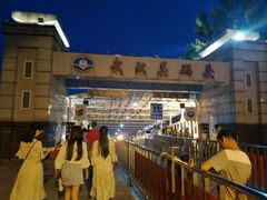 -武汉关码头(轮渡站)