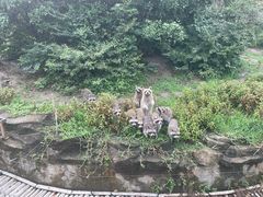 -宁波野生动物园