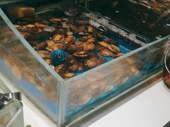 毛肚-加餐海鲜自助餐厅(福清万达店)