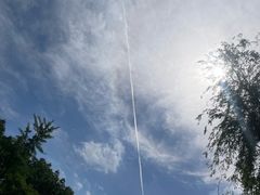 -九里河湿地公园