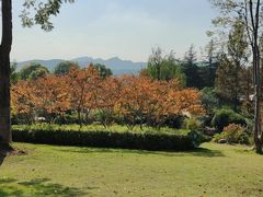 -铁山坪森林公园