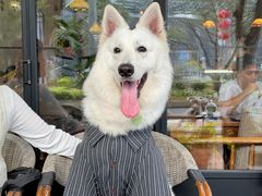 -MIMO CAFE(沙头角店)