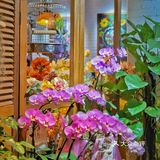 🌸 跌落爱丽丝⁄(⁄ ⁄•⁄ω⁄•⁄ ⁄)⁄梦游仙境の餐厅