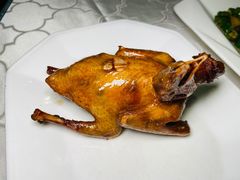 手撕乳鸽-琬苑鸽庄·川粤融合菜(解放碑总店)