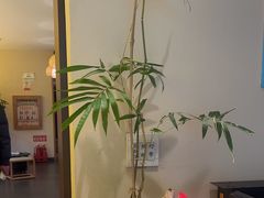 -西郊竹园甲鱼面(老一中店)