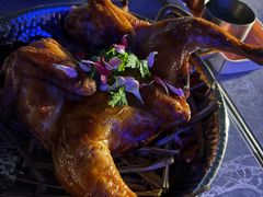 -Hi City·城市之巅