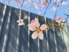 -三里河公园