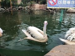 -灵玲国际马戏城
