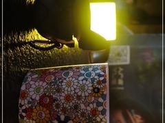 -ohbar live house(人广店)