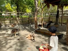 -水上乐园·欢乐世界