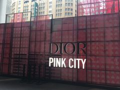 -Dior迪奥(上海世茂广场店)