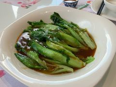 蚝油生菜-有心德(麦地店)