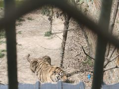 -中华郡文化旅游景区