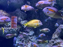 -成都浩海立方海洋公园