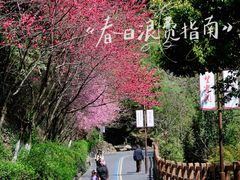 -杭州半山国家森林公园