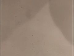 -伝承·和牛寿喜烧·放题(东营银座购物中心店)