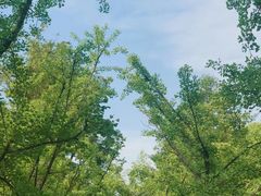 -重庆彩云湖湿地公园