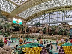 -杭州开元森泊度假乐园