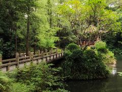 -广州兰圃