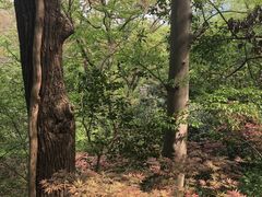 -南山风景名胜区
