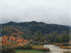 -黎坪国家森林公园
