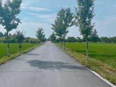 -嘉北郊野公园