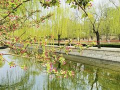 -元大都城垣遗址公园