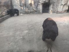 -南昌动物园